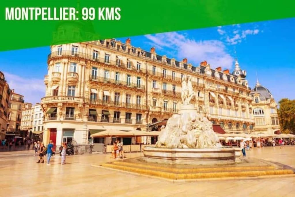 Le Noe - Ac Clim - Wi-fi * Avignon